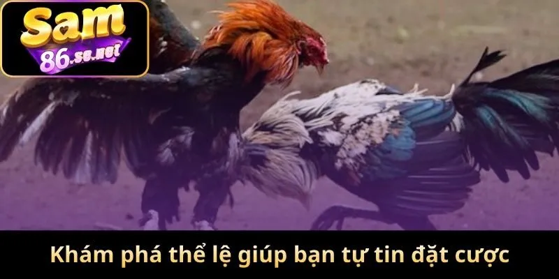 Khám phá thể lệ giúp bạn tự tin đặt cược