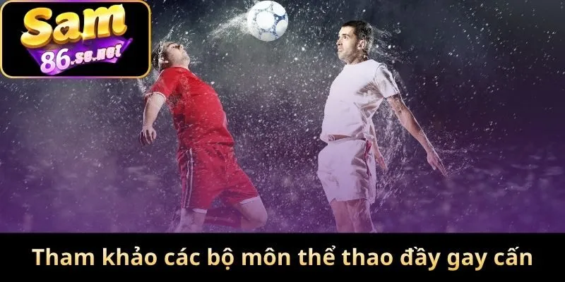 Tham khảo các bộ môn thể thao đầy gay cấn