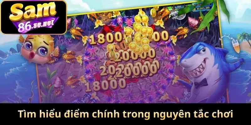 Tìm hiểu những điểm chính có trong nguyên tắc chơi